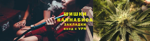 индика Верхний Тагил