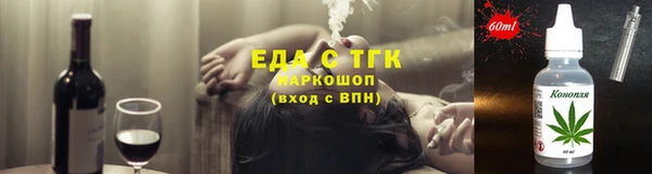 индика Верхний Тагил