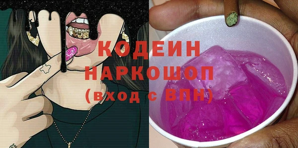 индика Верхний Тагил