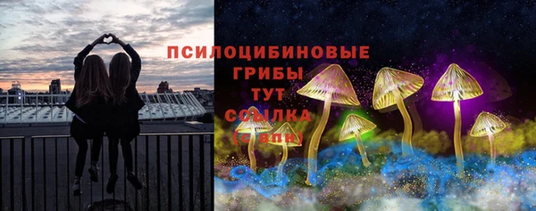 индика Верхний Тагил
