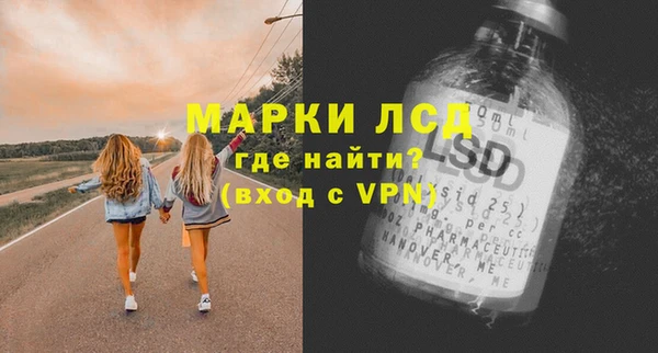 индика Верхний Тагил