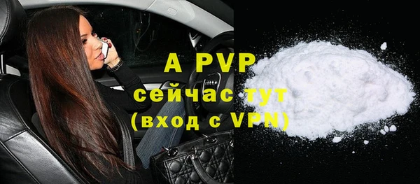 индика Верхний Тагил