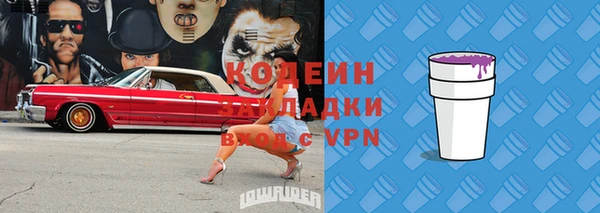 индика Верхний Тагил