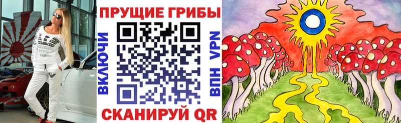 Псилоцибиновые грибы GOLDEN TEACHER  как найти наркотики  Гуково 